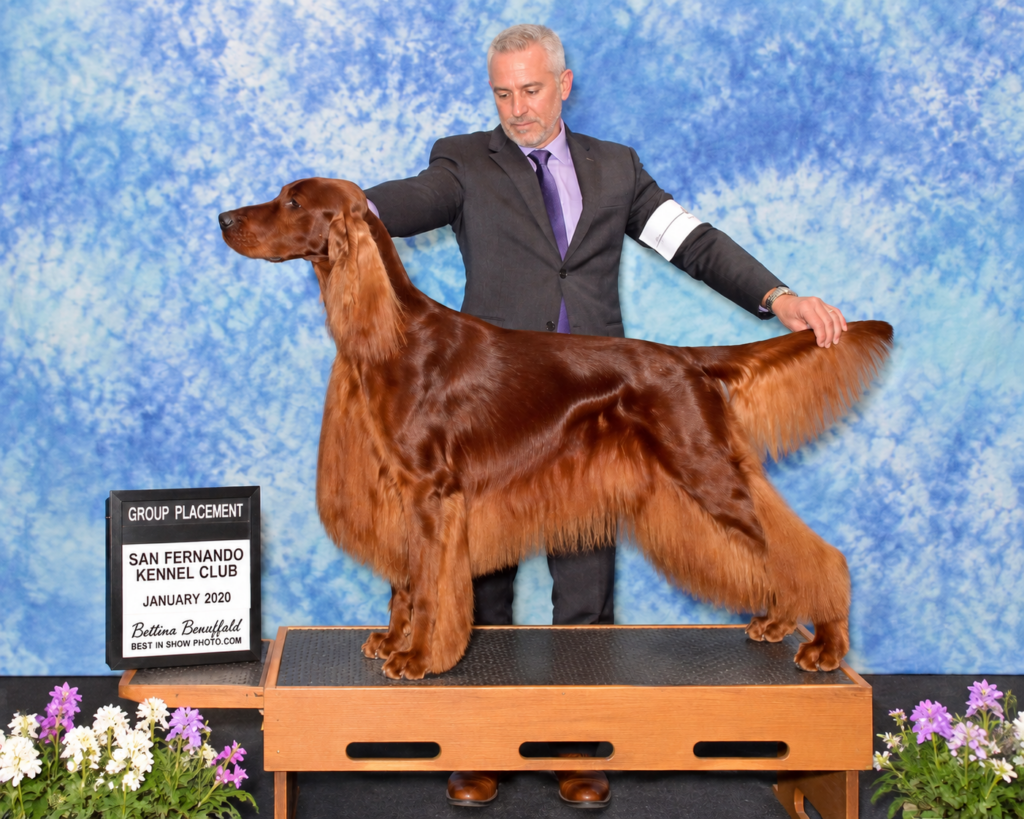 Bentley with Loran