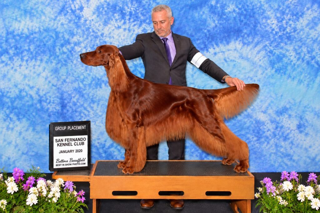 bentley and loran featured